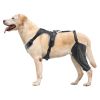 VEVOR Dog Knee Brace for Torn ACL, Dog Leg Brace with Adjustable Hinge Stabilizer, Pet Knee Support Harness for Left Hind Leg, Pain Relief