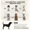 Elevated Dog Sofa Bed, Cat Couch with Cushion, Washable Cover, Wooden Legs, for Medium & Large Dogs, Light Grey
