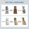 Elevated Dog Bowls Raised Pet Feeding Station with Storage 2 Stainless Steel Bowls, 23.6"x11.8" x14.2", White