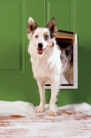PetSafe Extreme Weather Plastic Frame Dog & Cat Door  Medium  PPA0010985