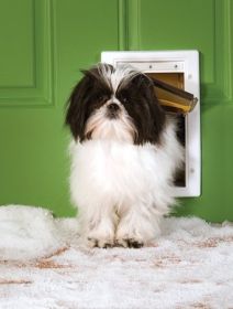 PetSafe Extreme Weather Plastic Frame Dog & Cat Door  Small  PPA0010984