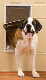PetSafe Freedom Pet Door  Extra Large