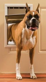 PetSafe Freedom Pet Door  Large