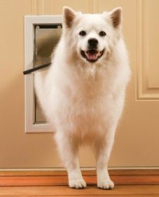 PetSafe Freedom Pet Door  Medium  PPA0010860