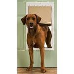 PetSafe Plastic Dog Door  Extra Large  PPA0010961