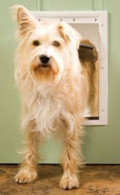 PetSafe Plastic Dog Door  Medium  PPA0010959
