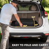 Folding Dog Ramp