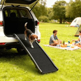 Folding Dog Ramp (title: default title)
